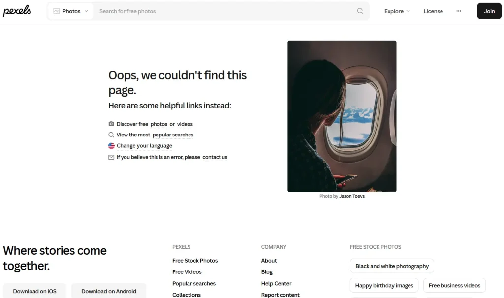 Pexels 404 Page